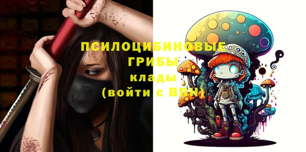 spice Алексин